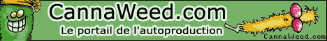 Cannabis forum engrais guide cannabiscup