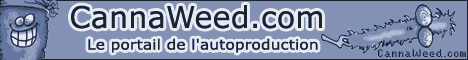 banniere cannaweed cannabis