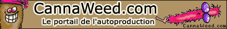 banniere cannaweed cannabis
