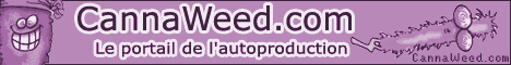 banniere cannaweed cannabis