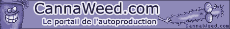 banniere cannaweed cannabis
