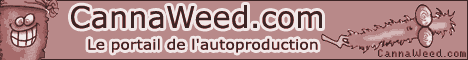 banniere cannaweed cannabis