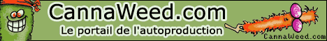 banniere cannaweed cannabis