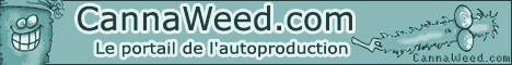 banniere cannaweed cannabis