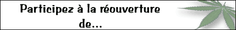 banniere cannaweed cannabis
