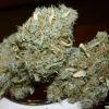 Weed