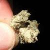 blue widow#1