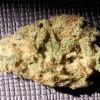 blue widow#1