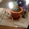 IMG 0891[1]