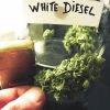 white d smoke test