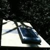 IMG 0833 IMG 0833