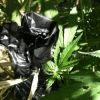 IMG 0875 IMG 0875
