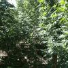 IMG 0872 IMG 0872