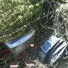 IMG 0876 IMG 0876