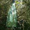IMG 0842 IMG 0842