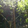 IMG 0871 IMG 0871