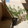 Mon zarmaphrodyte à flo+30