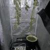 24052011458 (Copier)