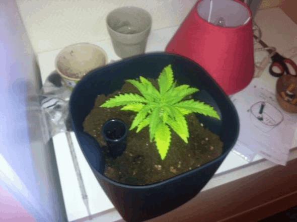 photo(5)