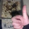 Space crumble banane choco