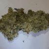 HimalayanGold