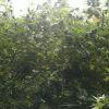 IMG 0942 IMG 0942