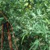 IMG 0945 IMG 0945