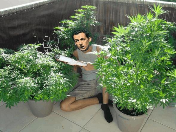 SARKO !... LOL