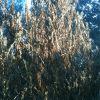 IMG 0255 IMG 0255