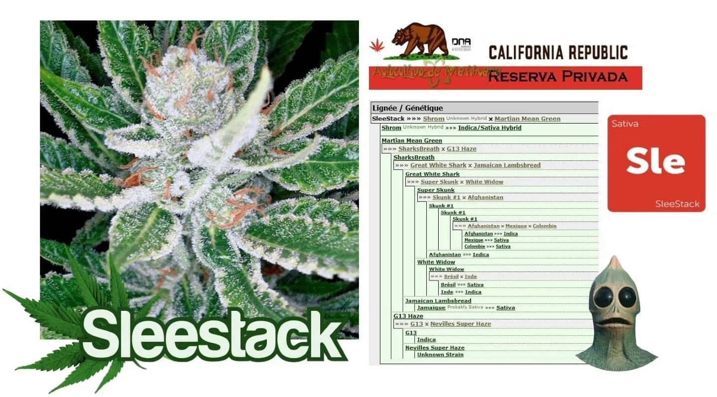 1017019307_sleestackreservaprivada.JPG.933d6c3b958218a2d0bdd8e955b3785e.webp