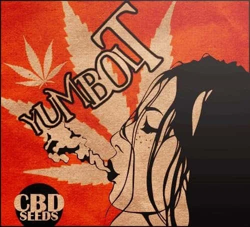 1558495755_yumboltcbdseeds.JPG.a30ba653d2bf9ee73342ed971fddf367.webp