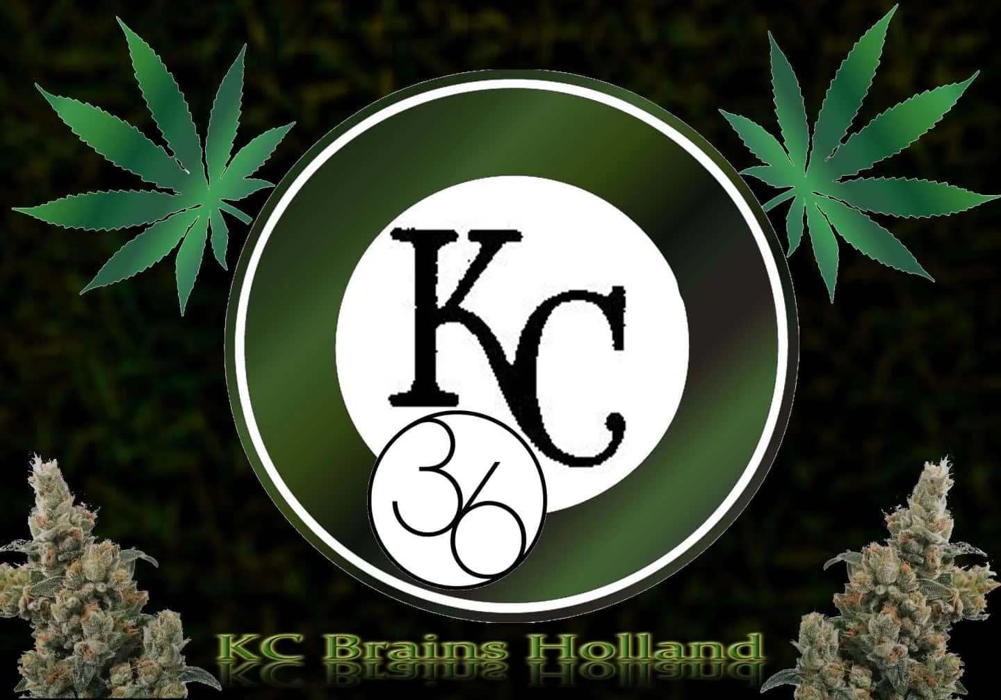 KC36.jpg.450d2c703bb6c35813441293d5fb7633.webp