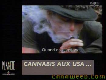 vietnam_cana_01.jpg