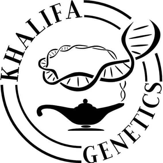 KhalifaGenetics.jpg.b1e2c3bec35a780cfac4faa7736d4ead.webp