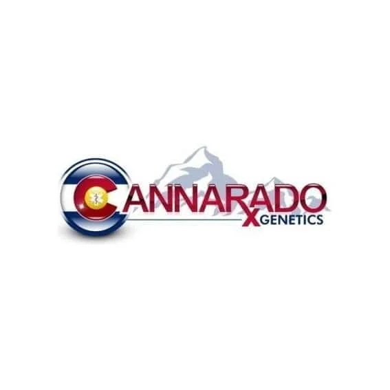353-seedbank.jpg.1056221af1701094a30bc31559112fdb.jpg.e6f5c530cdb8a39e35d80e5f245dd3b7.webp
