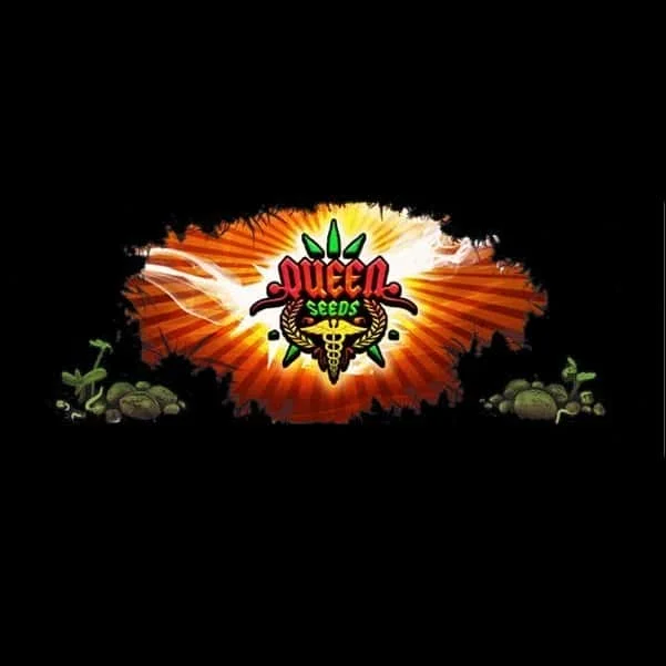 QueenSeeds.jpg.fef8df85e5bc3f1b6730783228fbb796.webp