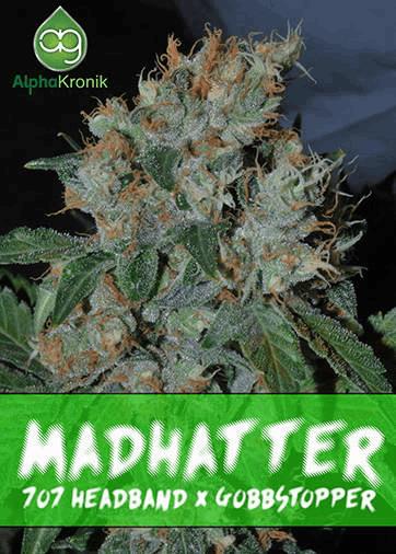 Madhatter