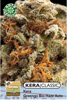 Kera Greengo Bio Haze AUTO