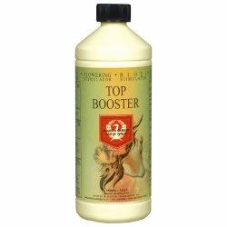 Top Booster