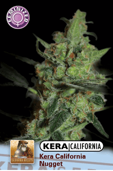Kera California Nuggets