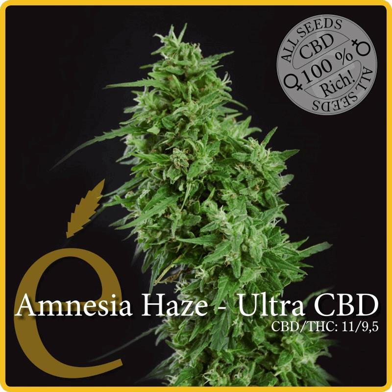 Amnesia Haze - Ultra CBD