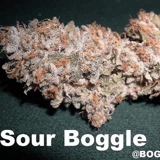 Sour Boggle