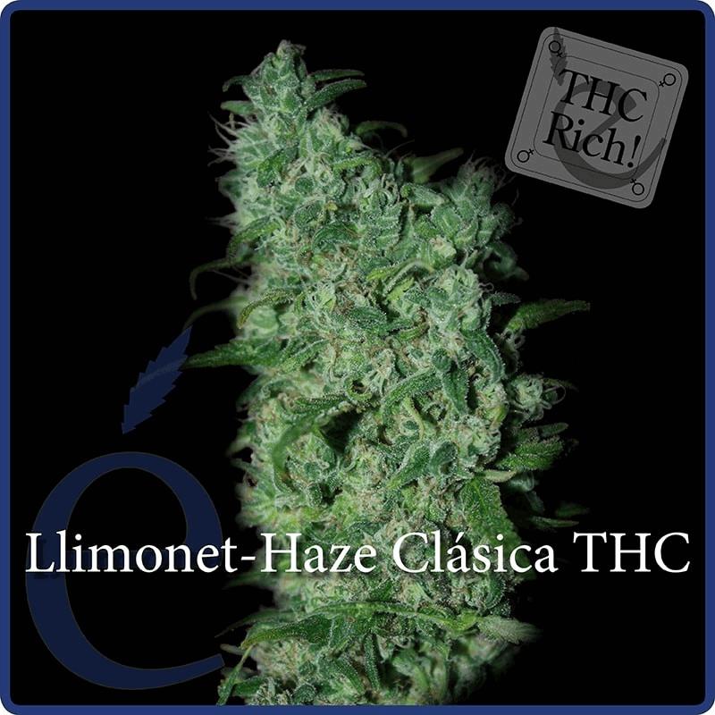 Llimonet Haze - Classique THC