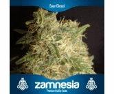 Sour Diesel (Zam)