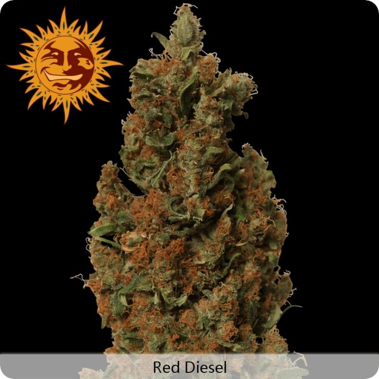 Red Diesel