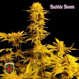 Bubble Boom