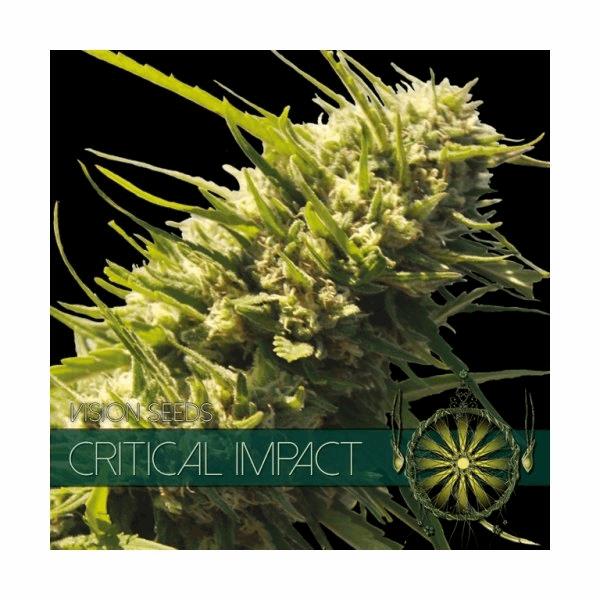 Critical Impact
