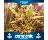 Nothern Lights Automatic (Zam)