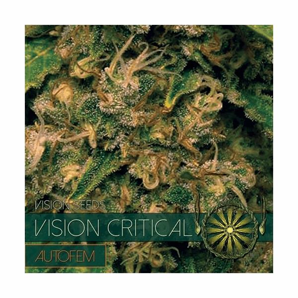 Vision Critical