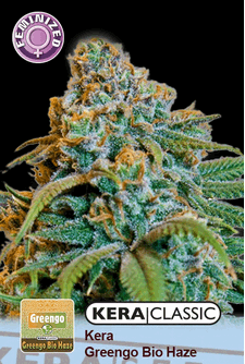 Kera Greengo Bio Haze